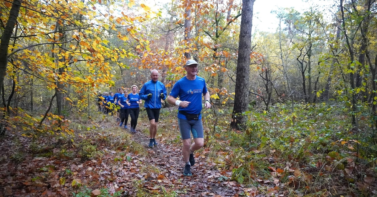 Recreatieve Heidetrail voor hardlopers en wandelaars Oirschot