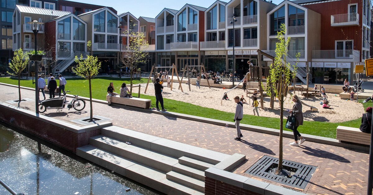 Stadsstrand Veenendaal: van braakliggend terrein tot mogelijk ‘Meest ...