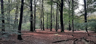 Weekendtips: dit doe je in Ede (7 - 9 november)