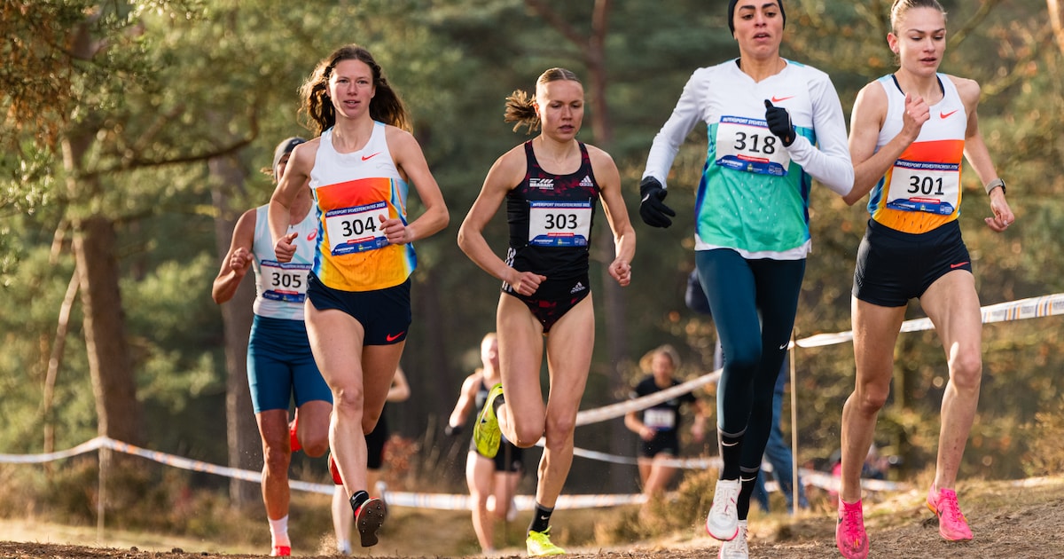 Sylvestercross trots op organisatie NK Cross in 2027 en 2028
