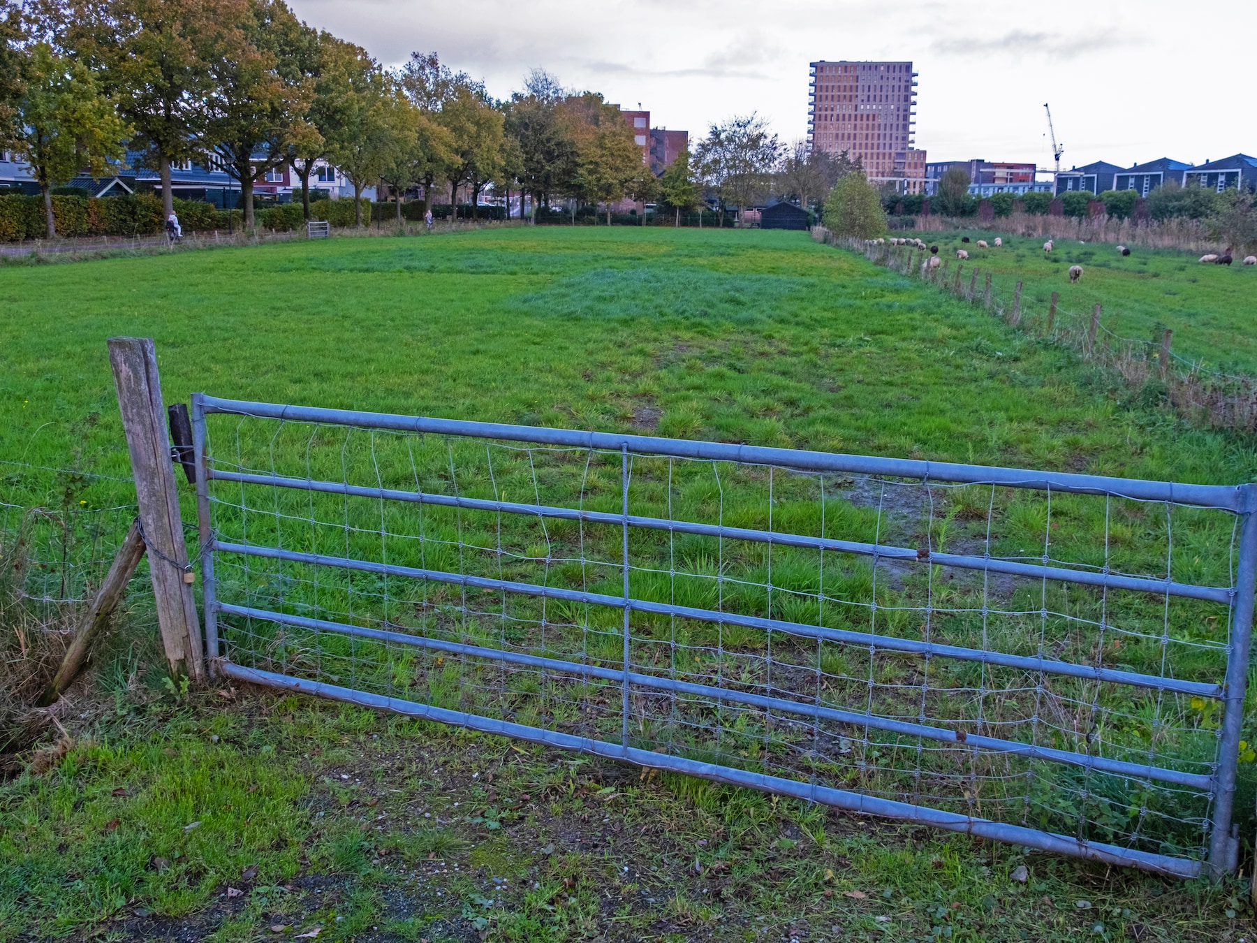 Vier plannen voor 175 nieuwe woningen in groen gebied tussen Hooglanderveen en Vathorst: ‘Dit moet groen blijven’