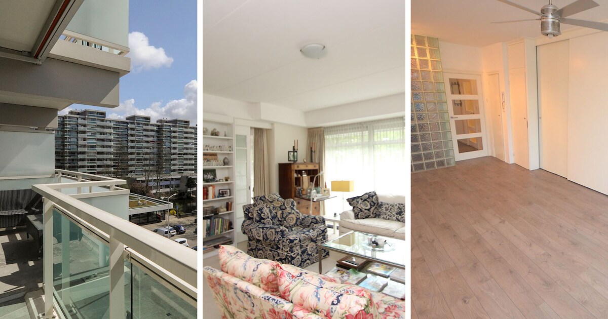 Van studio tot opknapper: de tien goedkoopste woningen in Den Haag