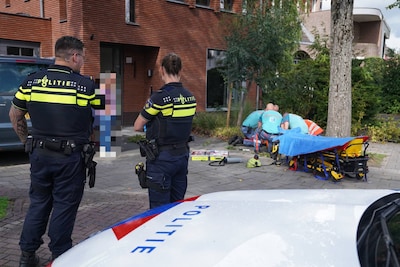 Man nog steeds in ziekenhuis na sprong uit hoogwerker door hoornaarsaanval