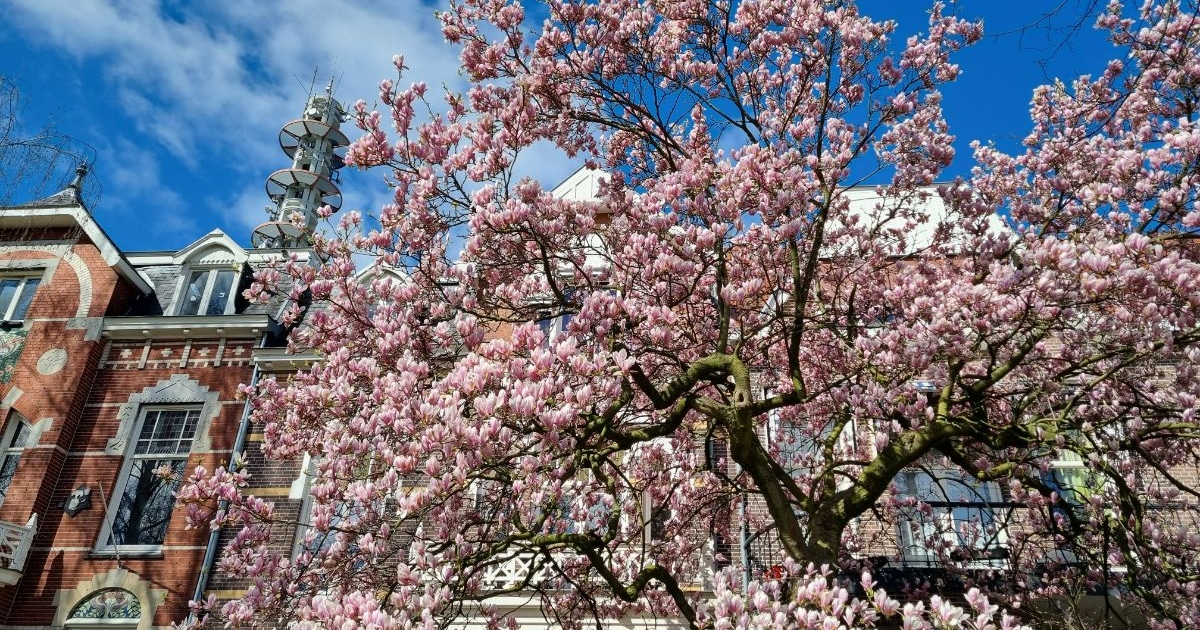 Pasen in Nijmegen, nieuw dansfeest en meer nieuwtjes van deze week