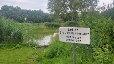 Blauwalgenwaarschuwing bij recreatieplas De Berendonck