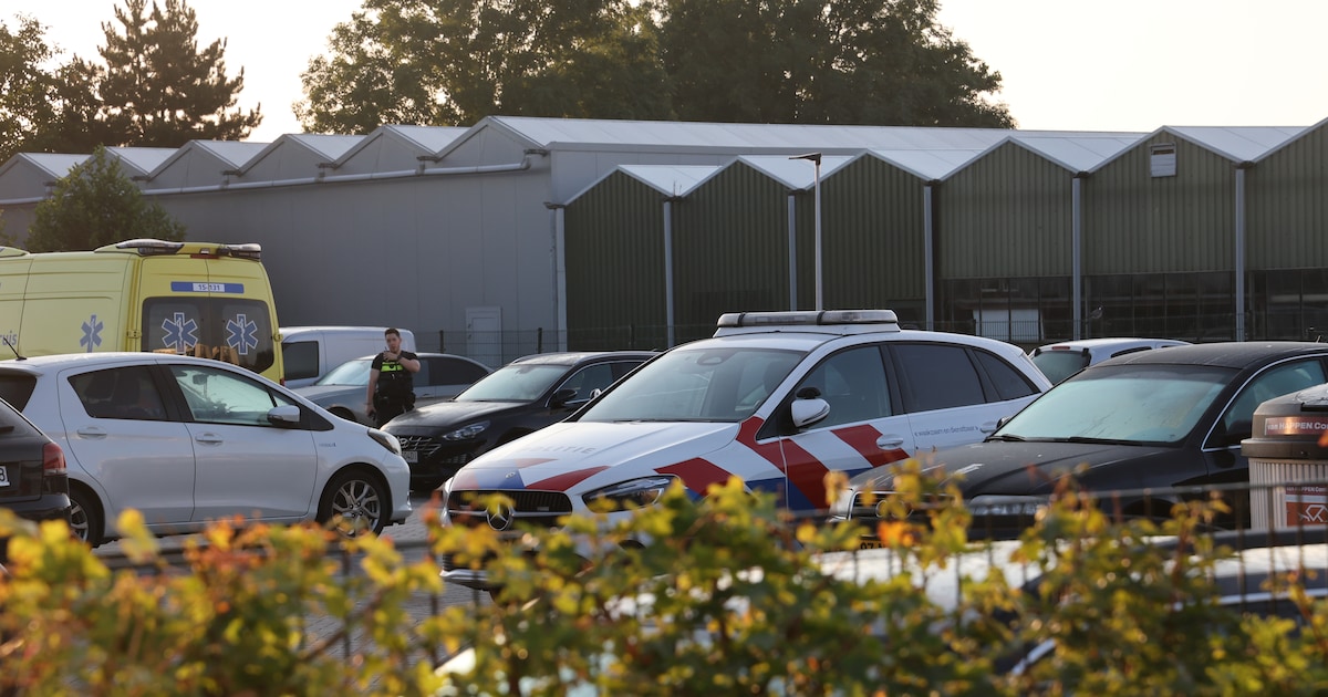 Eén verdachte aangehouden na steekincident Honselersdijk