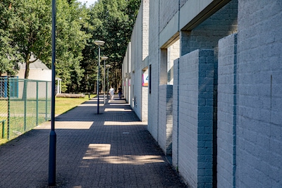 Image related to the article