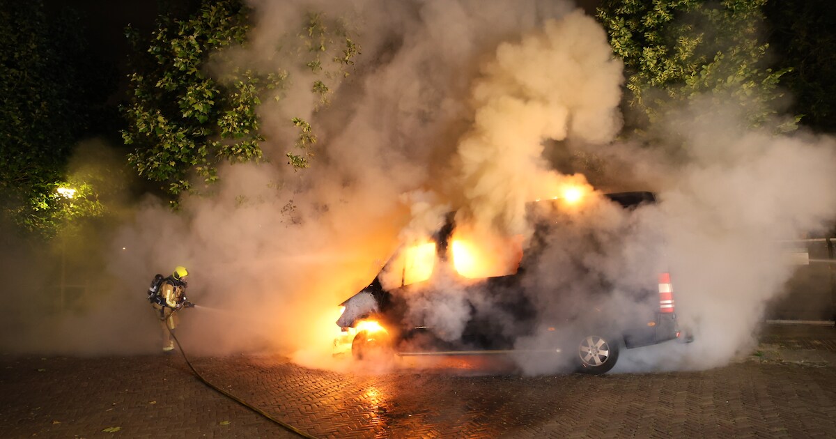 Bestelbus uitgebrand op de Prinses Beatrixstraat in Den Hoorn
