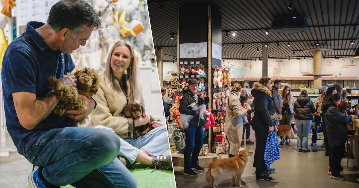 Liefdesbrief voor trouwe viervoeter levert valentijnscadeau op bij Cats & Dogs