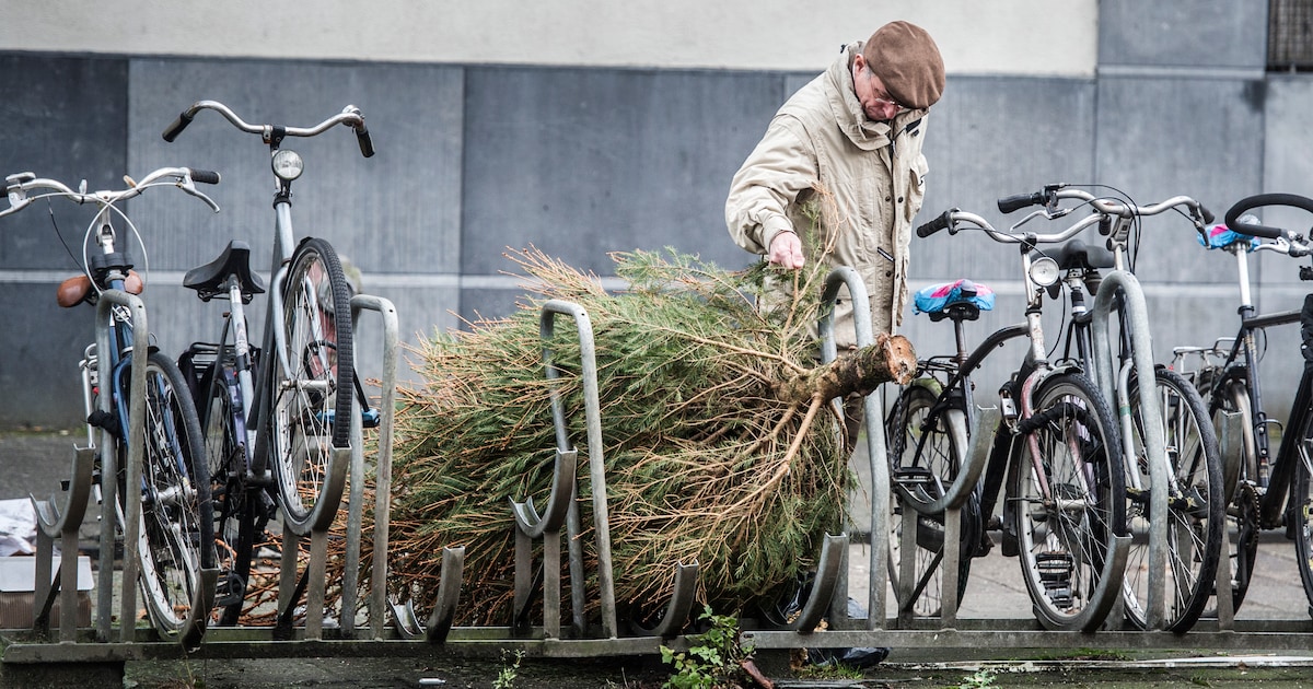 Kerstboom de deur uit? Dit is wanneer de gemeente ’m bij jou thuis ophaalt