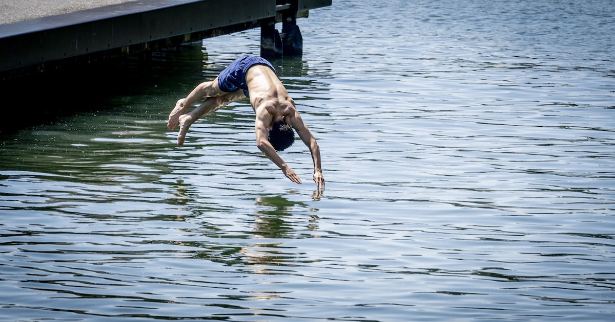 Een frisse duik nemen? Op deze zwemplekken in Maastricht is de waterkwaliteit in orde