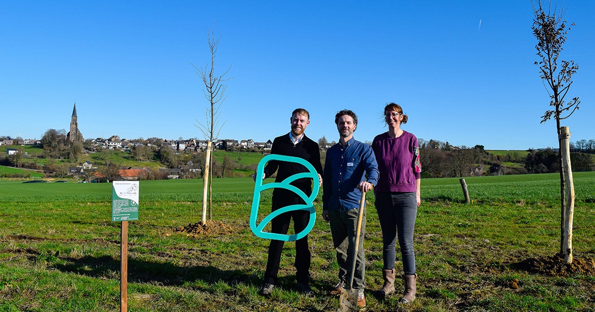 Groen langs Grachterweg in Vijlen versterkt met nieuwe aanplant