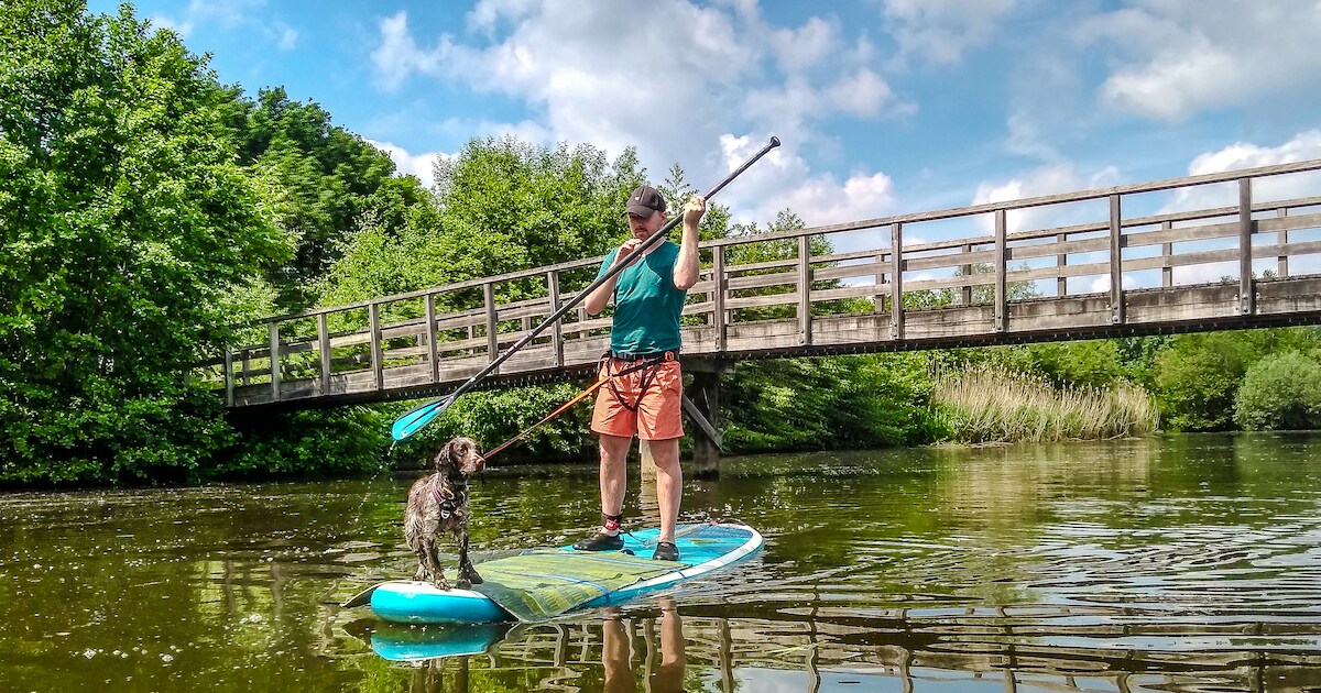 SUPsafari op de Waddenzee start woensdag | Vlieland