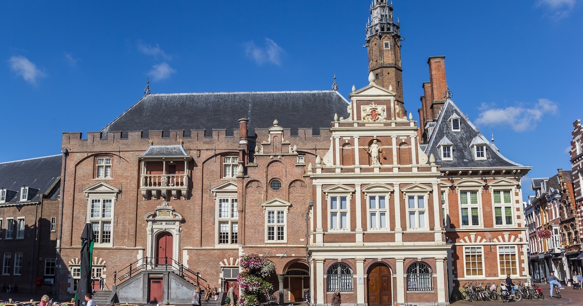 StemWijzer Haarlem: deze stelling verdeelt invullers het meest