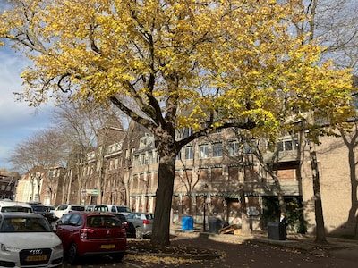 Ketrientje gaat na jarenlange juridische strijd in de verkoop: ‘Gemiste kans voor ouderenzorg in Ber