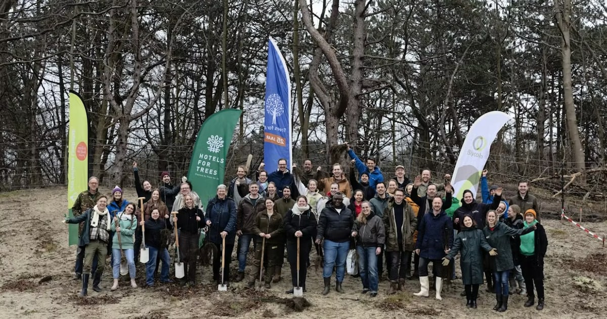 Duizenden nieuwe bomen geplant in Oostvoorne: samenwerkingsinitiatief gestart