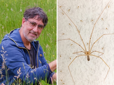 René Krekels uit Malden maakt een wel heel bijzondere foto, en wint eerste prijs in grote wedstrijd