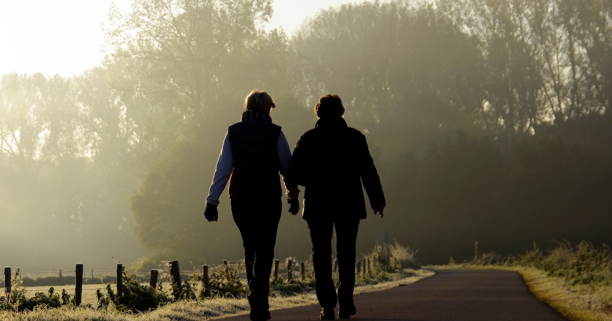 Wil je beter Nederlands leren? Wandel mee vanaf de IJsbaan in Breukelen