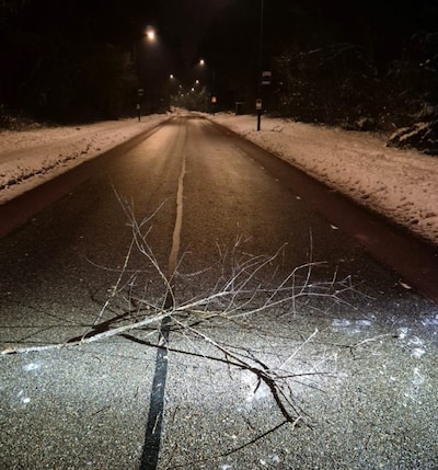 Image related to the article