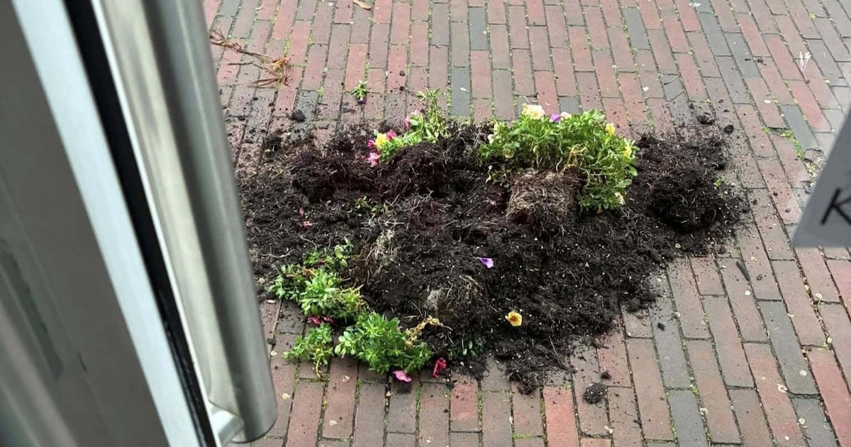 Bloembak omgegooid voor winkel van Fadime in Alphen: ‘Ik was zo kwaad’