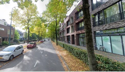 Man (21) uit Breda pakt vlag van gevel, massale knokpartij tijdens carnaval in Rijen is het gevolg