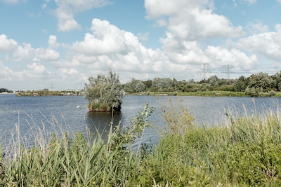 Amsterdam wint rechtszaak van provincie over bouw van windpark Noorder IJplas