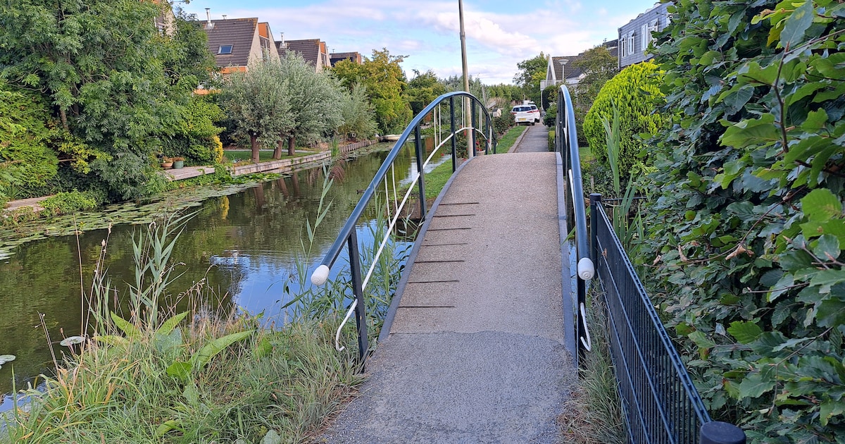 Moet er een oplossing komen voor de containers aan de Lookwatering?