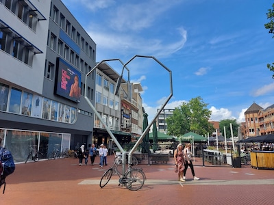 Tropische dagen op komst: dit is het weerbericht voor de zomervakantie in Eindhoven