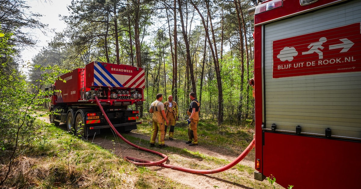 Wéér laait vuur op in bossen bij Oostelbeers, brandweer schaalt op
