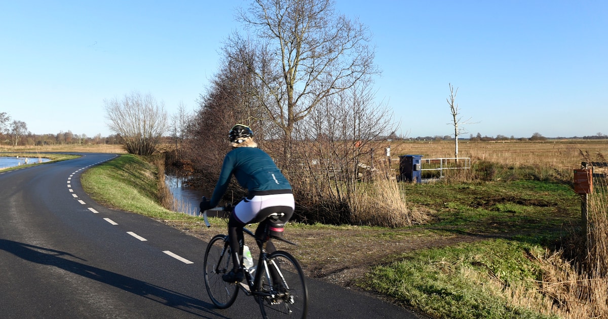Bedreigd natuurreservaat krijgt opknapbeurt: er komt zelfs een extra stuk natuur bij
