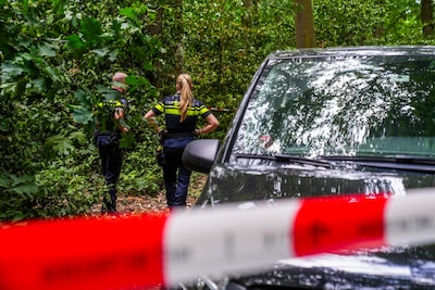 Image related to the article