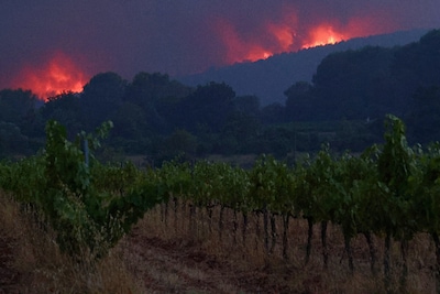Nieuwe natuurbrand in Zuid-Franse regio Var breidt zich snel uit