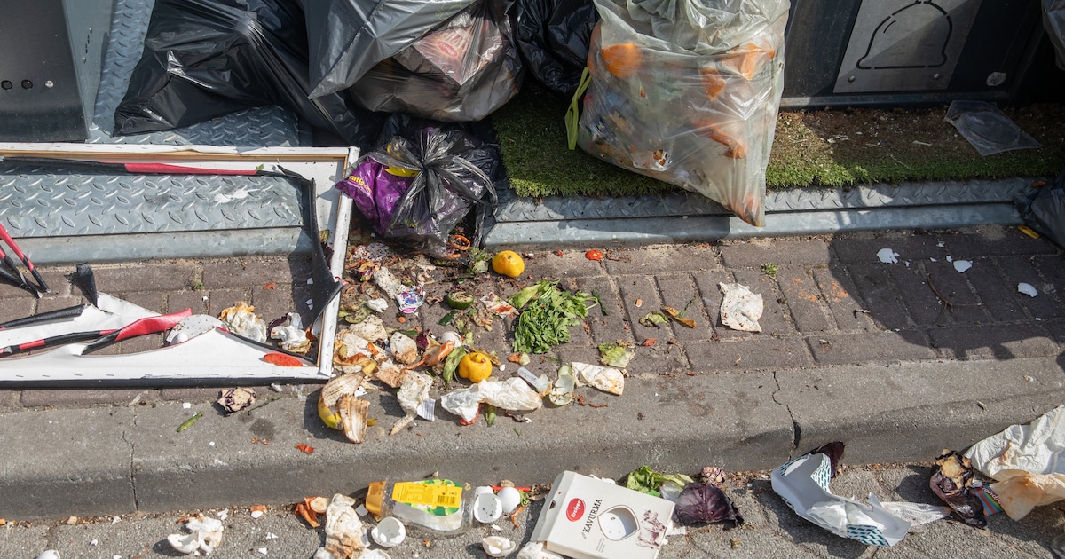 Afvaldumpingen zorgen voor overlast in Maasgouw