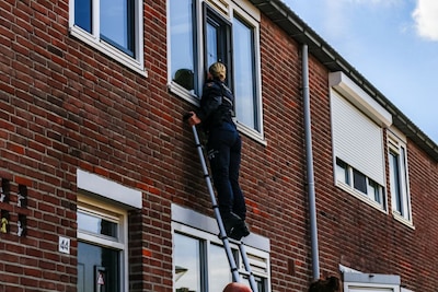 Image related to the article