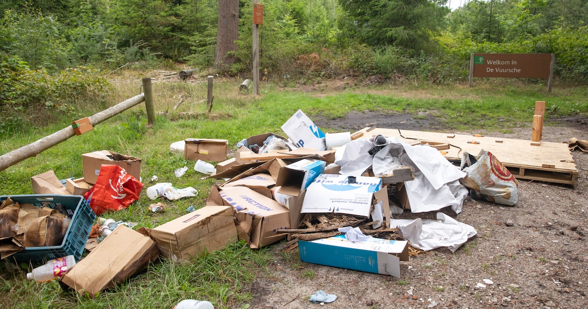 Soesters gaan voorlopig nog niet meer betalen voor afval: ‘Juist onze bossen ideaal voor afvaldumper