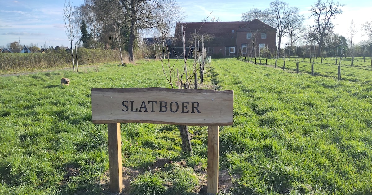 Vrijwilligers brengen oude ervennamen terug in Rietmolen