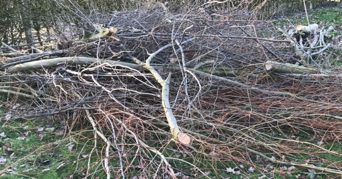 Afvalbrengstation Havelte opent extra voor tuinafval