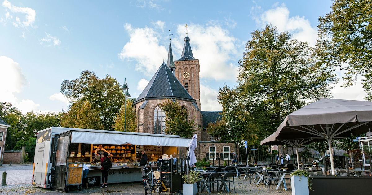 Amateurkunstenaars tonen werk bij Scherpenzeel in Beeld