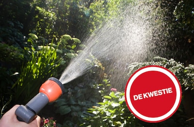 Droogte zet druk op tuinen: draait u de sproeier nog open?