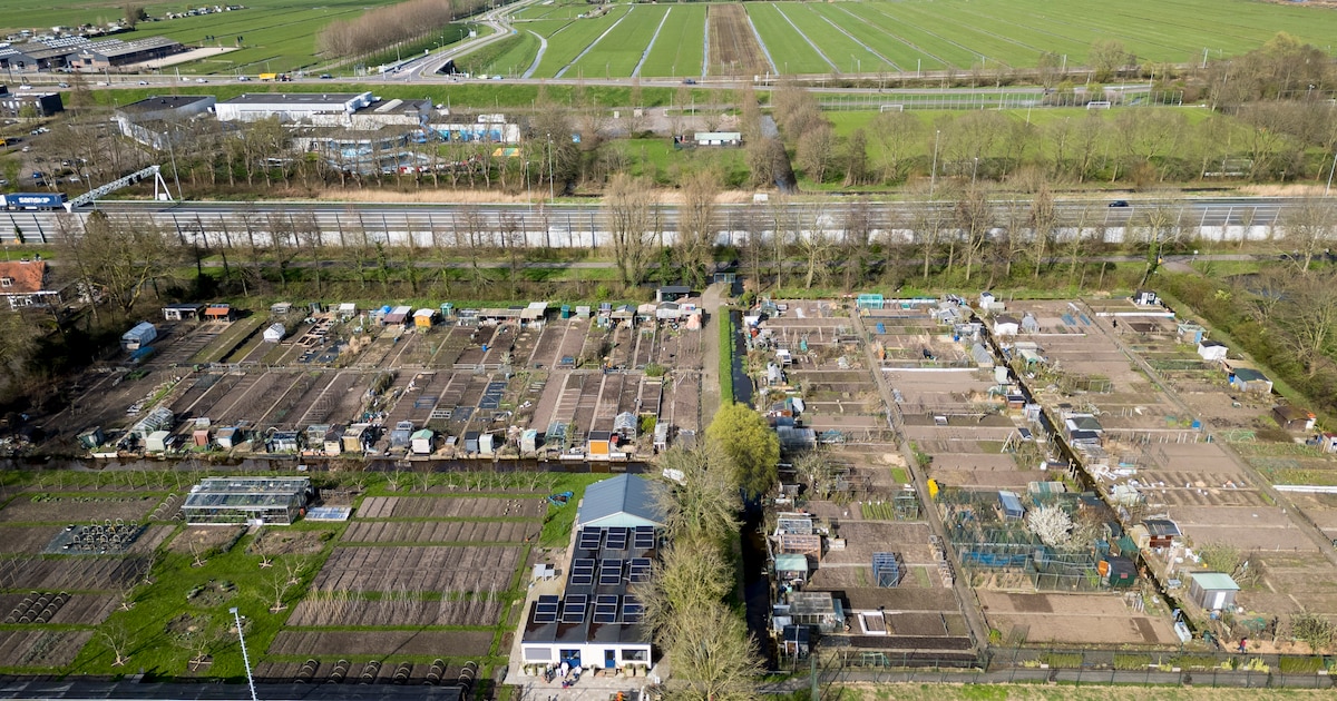 Sliedrecht krijgt ‘veel betaalbare woningen’ in nieuwe wijk, hoogbouw rond station