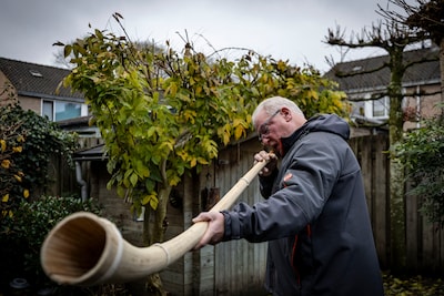 Image related to the article