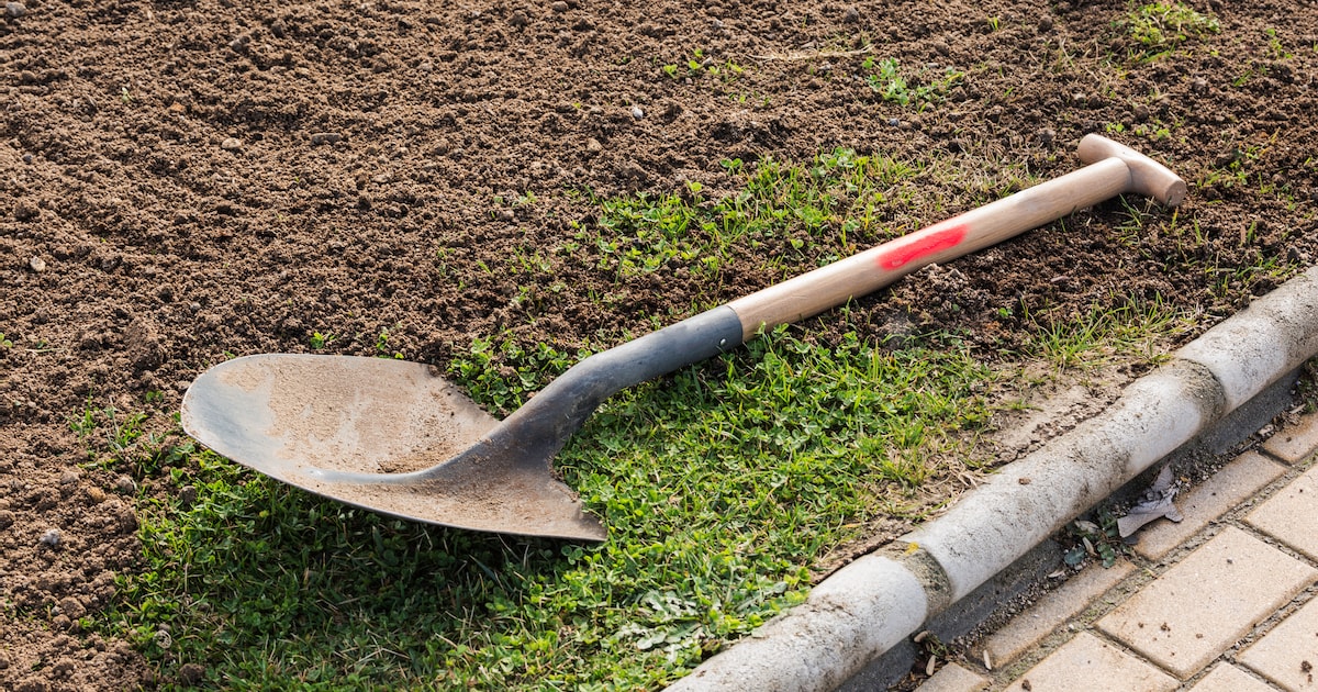 Helpende handen gezocht voor tweede plantdag voedselpark in Hattem