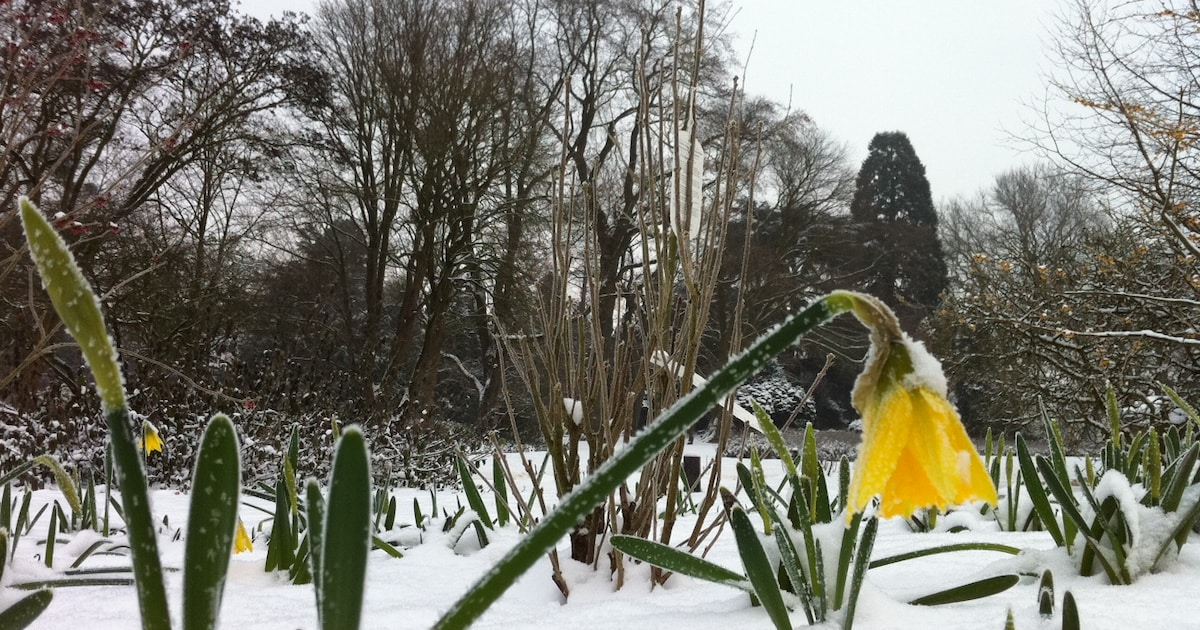 Koudste lentestart ooit: -9,6 graden laagste temperatuur