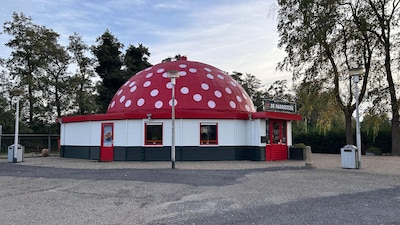 Opluchting bij eigenaar nu iconische snackbar De Paddestoel na lange procedure definitief open mag b