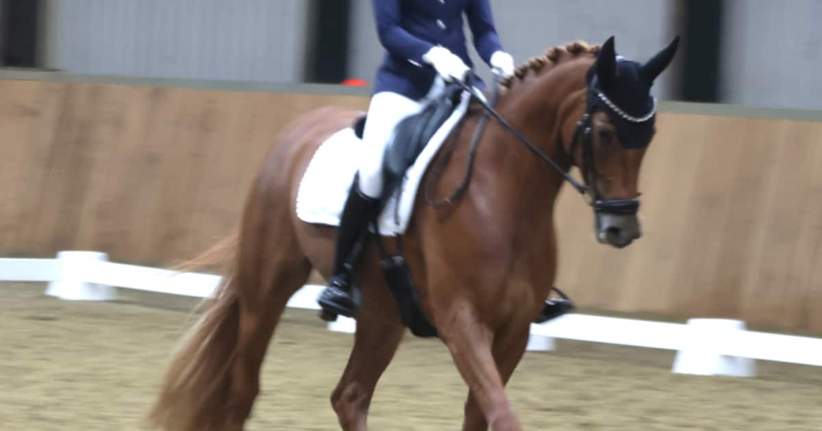 Maudi Baas toont zich in Axel en vormt met haar paard een combinatie om in de gaten te houden: ‘De h