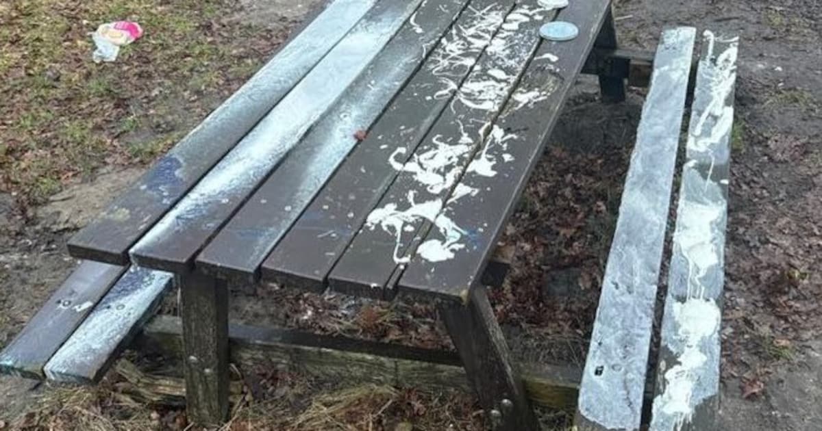 Picknickbank en boom beklad in Niebert, politie zoekt getuigen