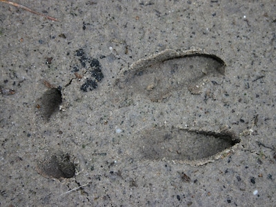 Image related to the article