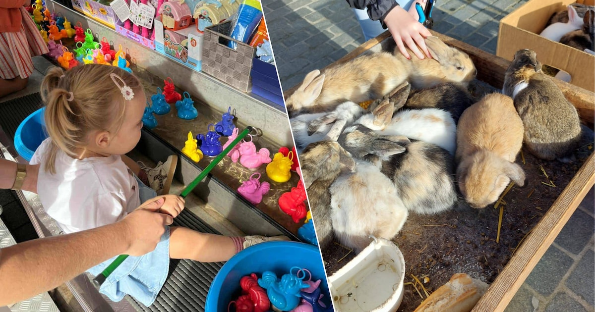 Wat te doen in de Kempen dit weekend? Proef honderd craftbieren, kuier op de dierenmarkt of loop voo