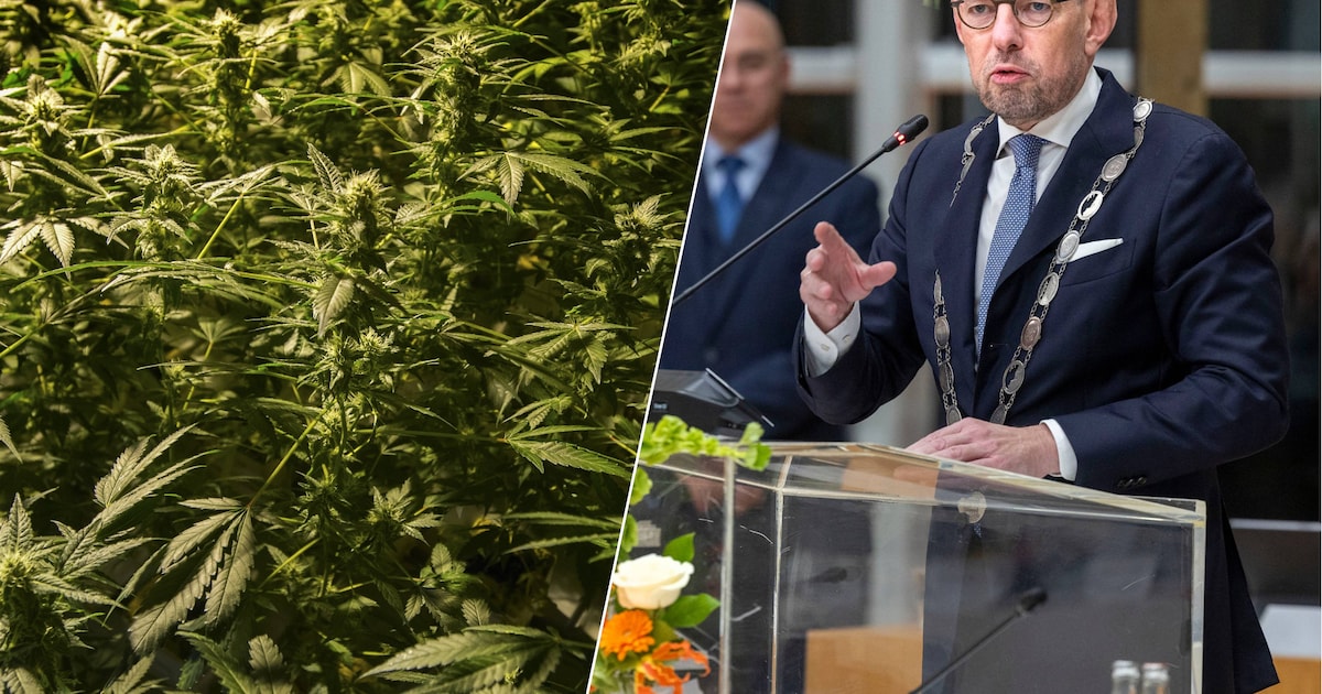 Twee mannen krijgen dwangsom opgelegd na vondst spullen voor hennepteelt