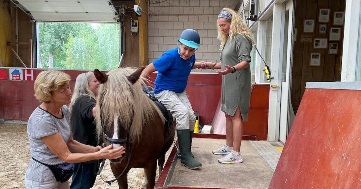 Groot verdriet bij Rotterdamse manege na dodelijke paardenziekte: ‘Strijden heel hard om deze plek t